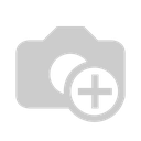 Chanel 19 Small Bag