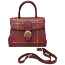 Delvaux Special Edition Brillant Medium Bag